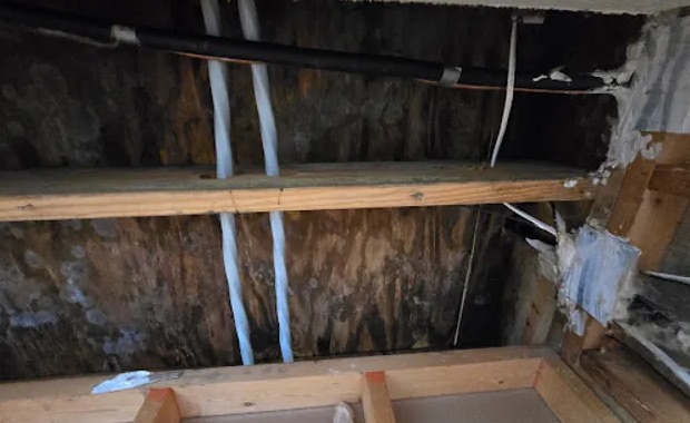 Attic Mold Removal in Surprise, AZ