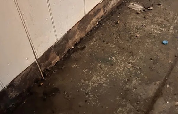 Gross Filth Cleanup in Surprise, AZ