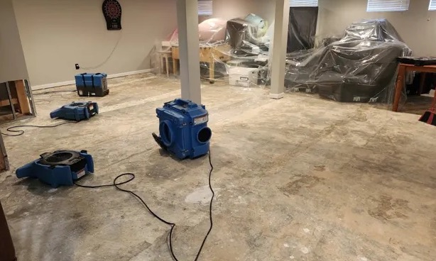 Mold Inspection & Testing in Surprise, AZ