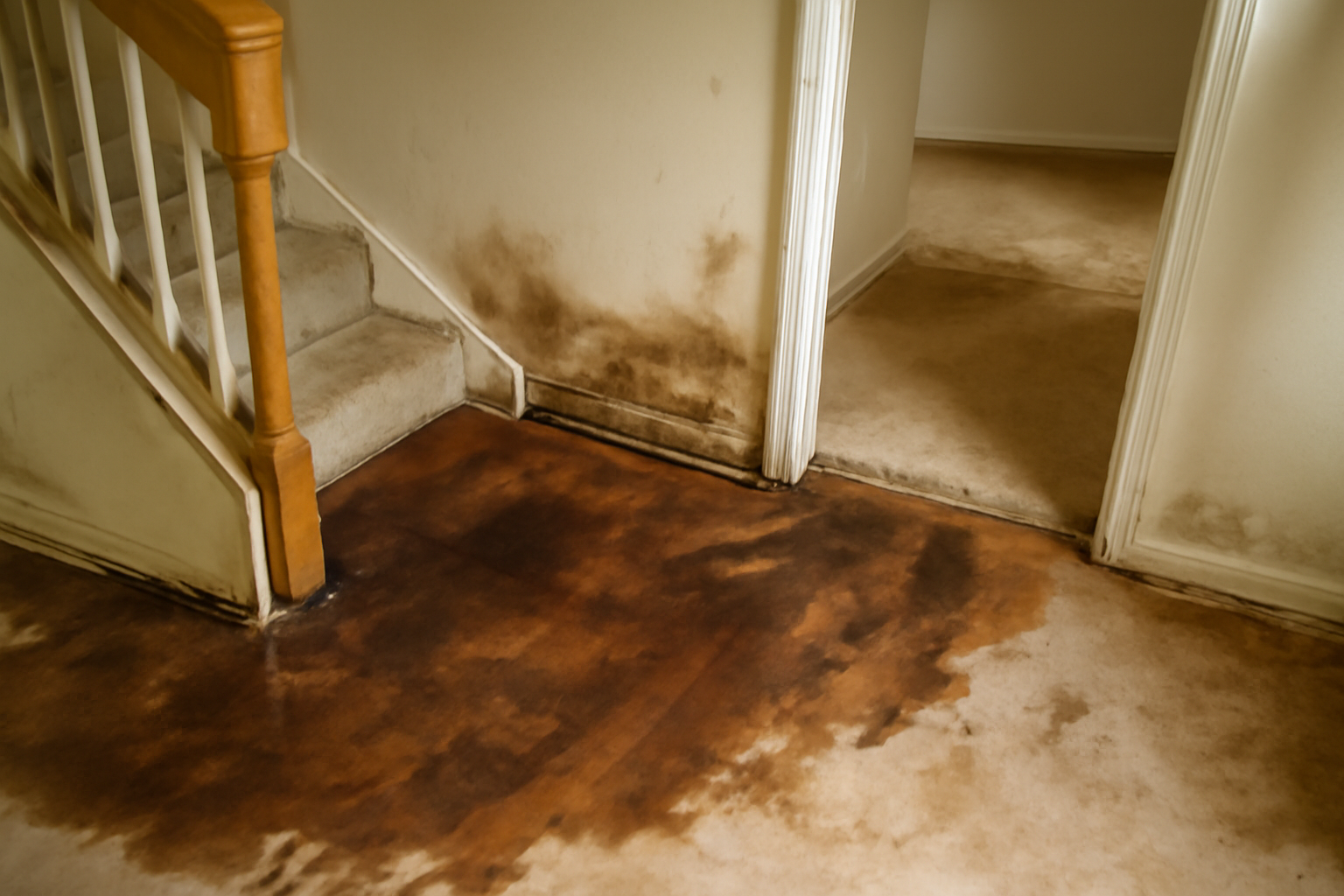 After Hours Water Removal in Flowing Wells, AZ