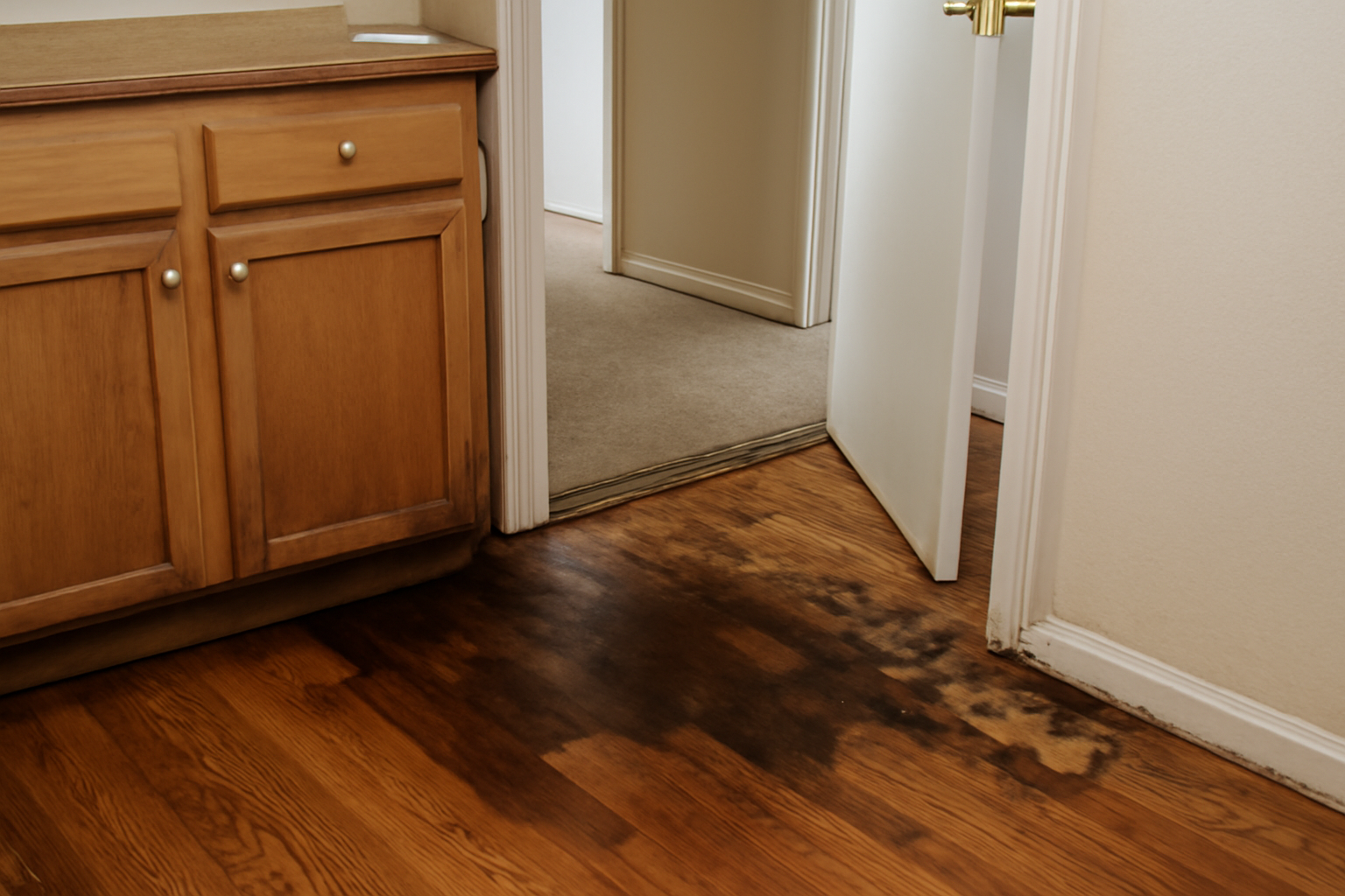 Same Day Water Removal in Flowing Wells, AZ